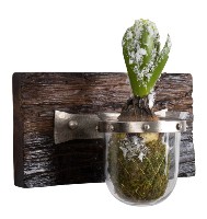 Väggljuslykta Recycled, 1 ljus