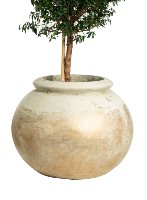 Urna Small